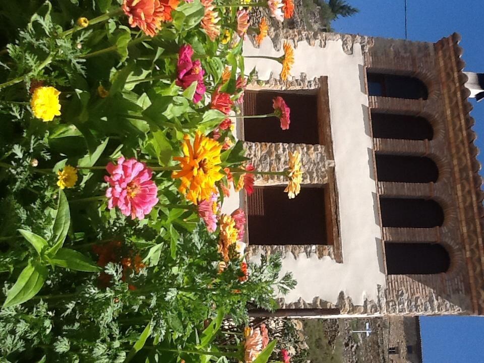 Casa Rural Caseta De L' Hort Villafranca del Cid Ruang foto