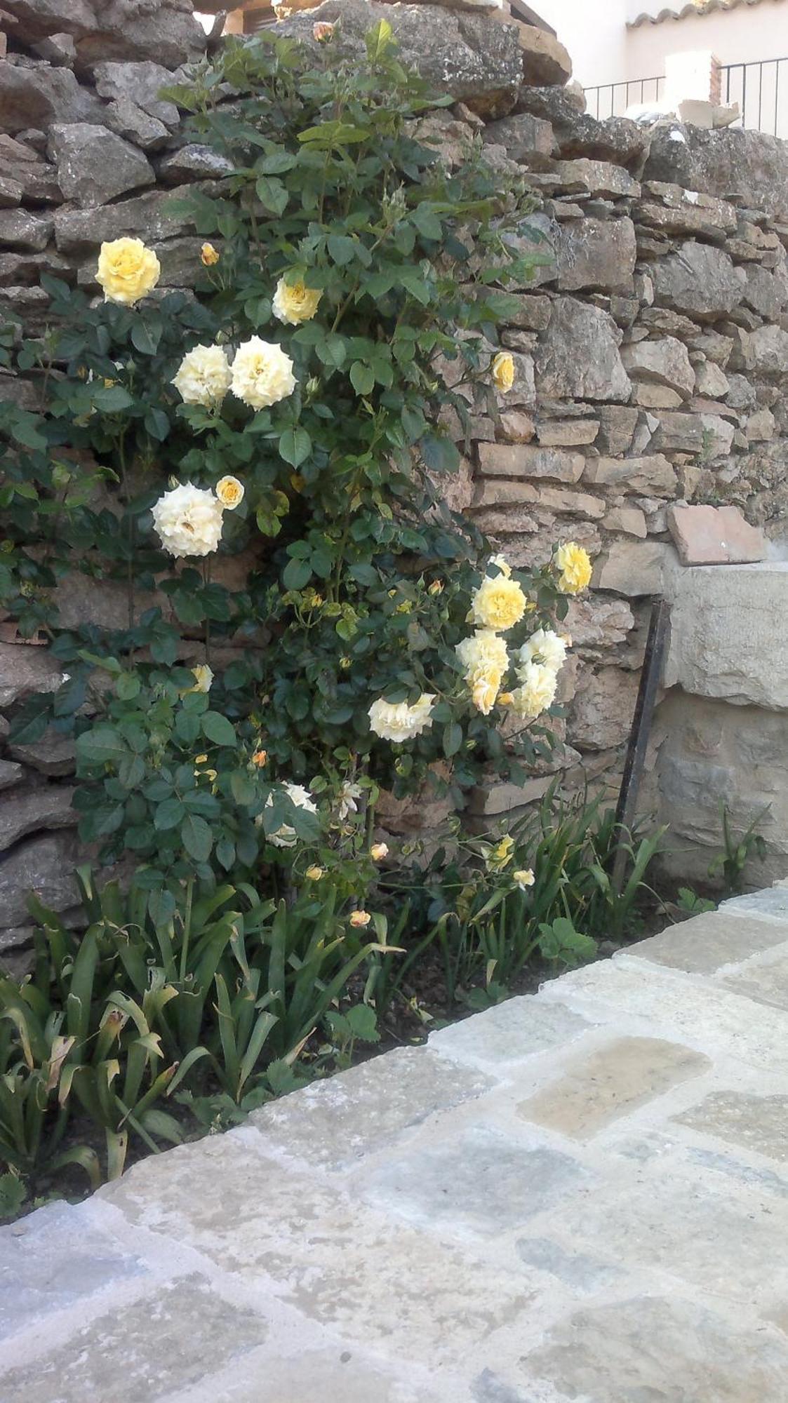 Casa Rural Caseta De L' Hort Villafranca del Cid Bagian luar foto