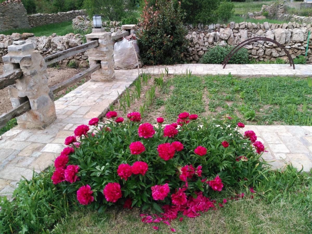Casa Rural Caseta De L' Hort Villafranca del Cid Bagian luar foto