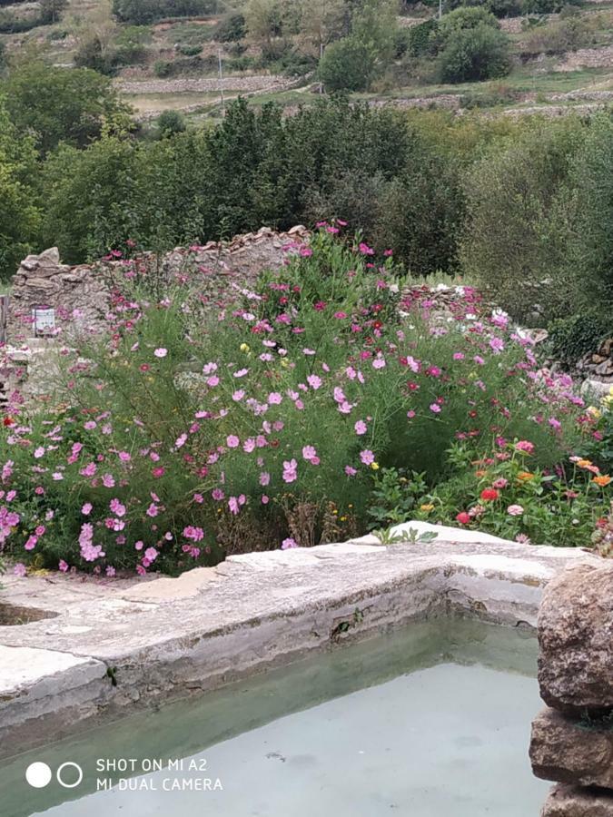 Casa Rural Caseta De L' Hort Villafranca del Cid Bagian luar foto